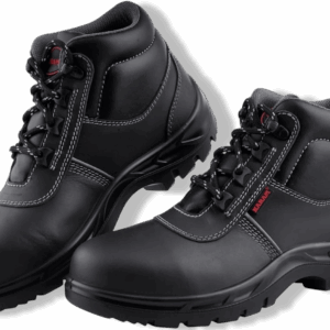 WhatsApp Image 2025 07 30 at 11.52.24 AM